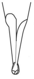 Фреза MICRO100 BMSM-016-2 - Фреза MICRO100 BMSM-016-2